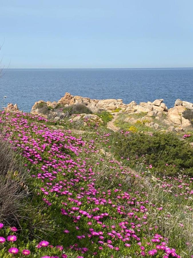 Casa Mughetto R5055 Seafront, Private Sea Access, Swimming Pool Holiday home La Maddalena (Sassari)
