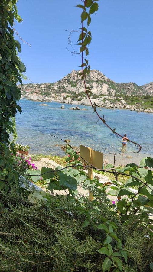 Casa Mughetto R5055 Seafront, Private Sea Access, Swimming Pool Holiday home