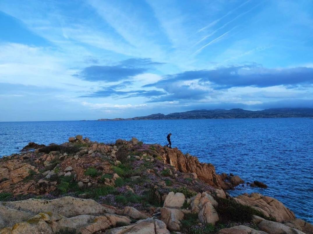 Casa Mughetto R5055 Seafront, Private Sea Access, Swimming Pool La Maddalena (Sassari)